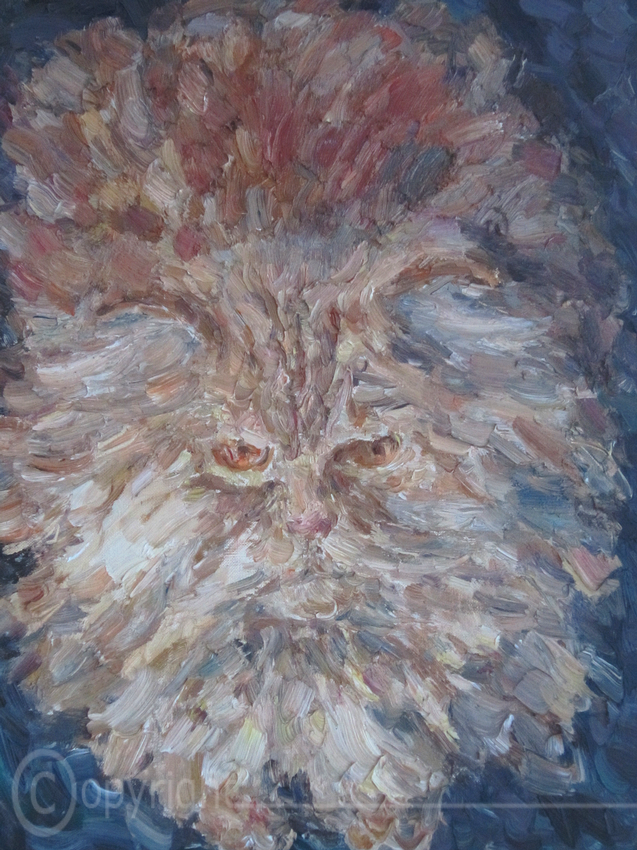 Unsere Perserkatze 1982